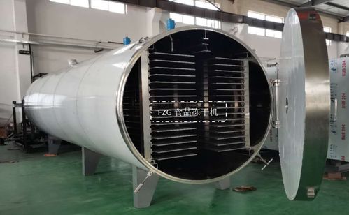 大型食品凍干機交付廣西，賦能果蔬凍干深加工技術升級