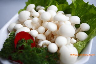 全國(guó)高性價(jià)比菌菇批發(fā)市場(chǎng)及產(chǎn)業(yè)鏈指南 從產(chǎn)地到回收價(jià)格解析